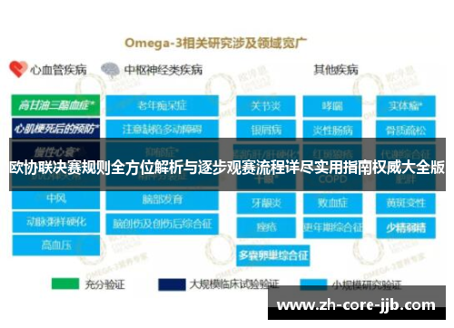 欧协联决赛规则全方位解析与逐步观赛流程详尽实用指南权威大全版