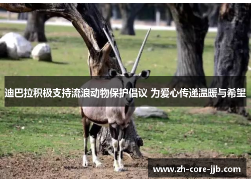 迪巴拉积极支持流浪动物保护倡议 为爱心传递温暖与希望