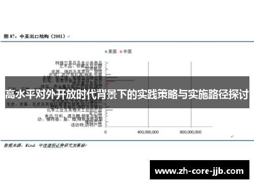 高水平对外开放时代背景下的实践策略与实施路径探讨